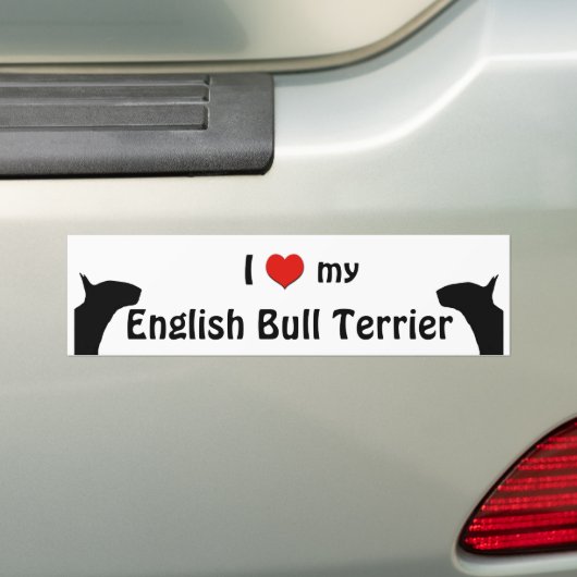 Engelse bull Terrier Bumpersticker (Op auto)