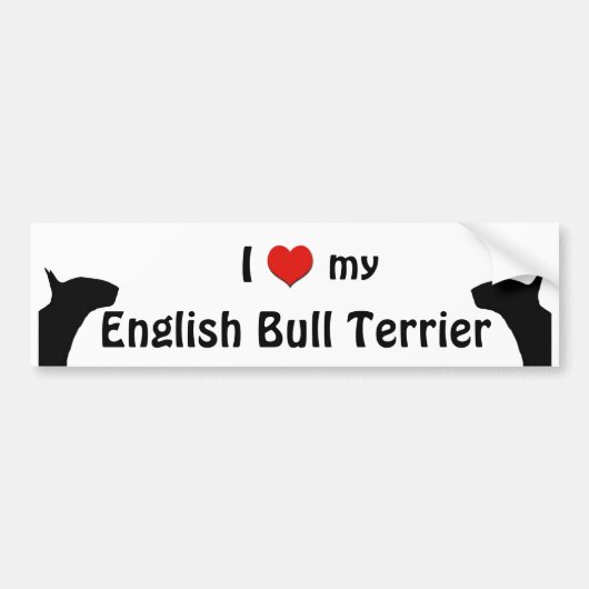 Engelse bull Terrier Bumpersticker (Voorkant)