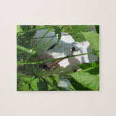 Engelse bull Terrier die door de bladeren stroomt Legpuzzel (Horizontaal)