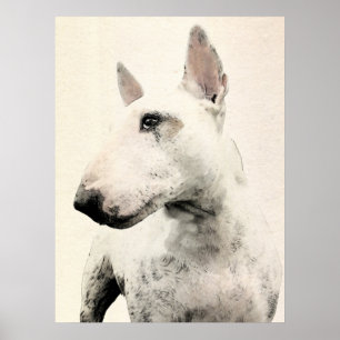 Engelse Bull Terrier Dog Poster