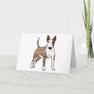 Engelse bull Terrier Kaart