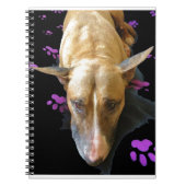 Engelse Bull Terrier-laptop Notitieboek (Voorkant)