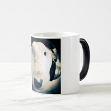 Engelse Bull Terrier met hoofdtelefoon