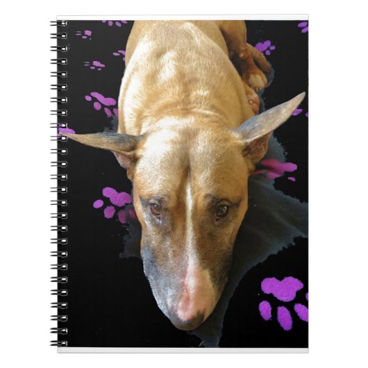 Engelse Bull Terrier Notitieboek (Voorkant)