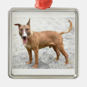 Engelse Bull Terrier Ornament (Voorkant)