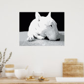 Engelse bull Terrier, Pop Art Print (Keuken)