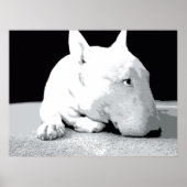 Engelse bull Terrier, Pop Art Print (Voorkant)