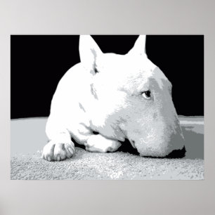Engelse bull Terrier, Pop Art Print