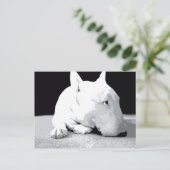 Engelse bull Terrier, Pop Art Print Briefkaart (Staand voorkant)