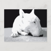 Engelse bull Terrier, Pop Art Print Briefkaart (Voorkant)