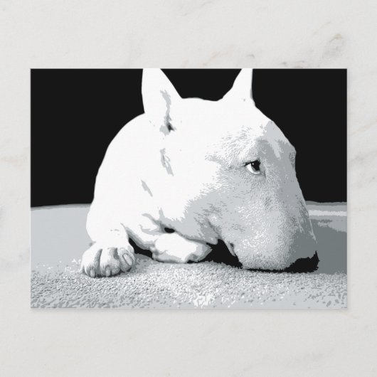 Engelse bull Terrier, Pop Art Print Briefkaart (Voorkant)