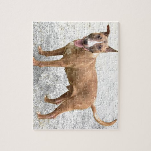 Engelse Bull Terrier Puzzle Legpuzzel (Verticaal)