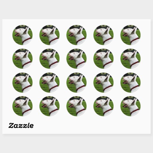 Engelse bull Terrier Ronde Sticker (Vel)