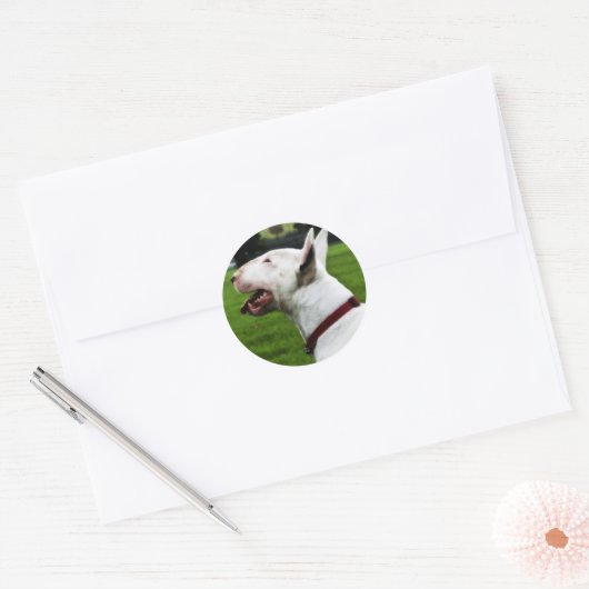 Engelse bull Terrier Ronde Sticker (Envelop)