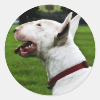 Engelse bull Terrier Ronde Sticker