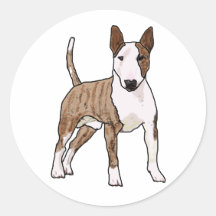 Engelse bull Terrier