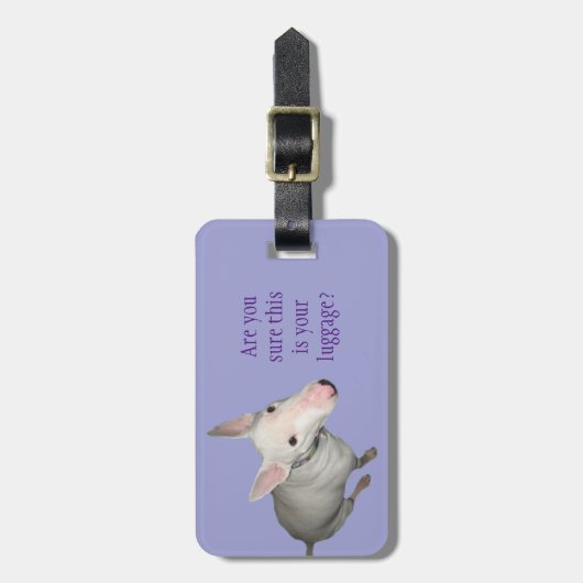 Engelse Bull Terrier Sitting  Bagagelabel (Voorkant verticaal)