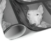 Engelse bull Terrier Snuggable under a Blanket - B Cadeaupapier (Rol Hoek)