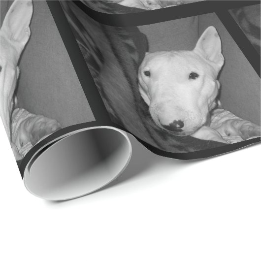 Engelse bull Terrier Snuggable under a Blanket - B Cadeaupapier (Rol Hoek)