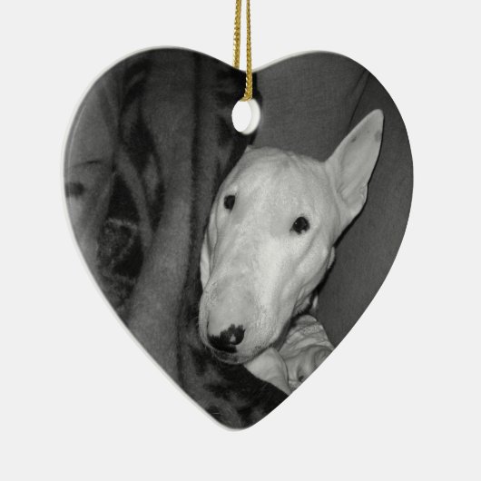 Engelse bull Terrier Snuggable under a Blanket - B Keramisch Ornament (Rechts)