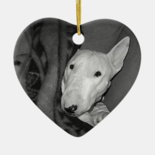 Engelse bull Terrier Snuggable under a Blanket - B Keramisch Ornament (Voorkant)