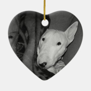 Engelse bull Terrier Snuggable under a Blanket - B Keramisch Ornament