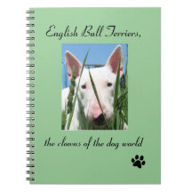 Engelse Bull Terrier the Clowns of the Dog World