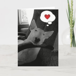 Engelse bull terrier valentijn feestdagen kaart