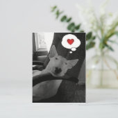 Engelse bull terrier valentijn feestdagenkaart (Staand voorkant)