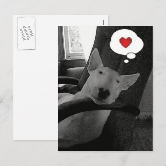 Engelse bull terrier valentijn feestdagenkaart (Voorkant / Achterkant)