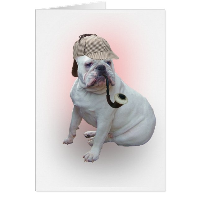 Engelse bulldog (Voorkant)