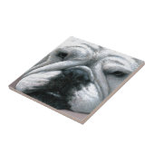 Engelse Bulldog 118 Tegeltje (Zijkant)