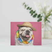 Engelse Bulldog (18 maanden oud) met stro Briefkaart (Staand voorkant)