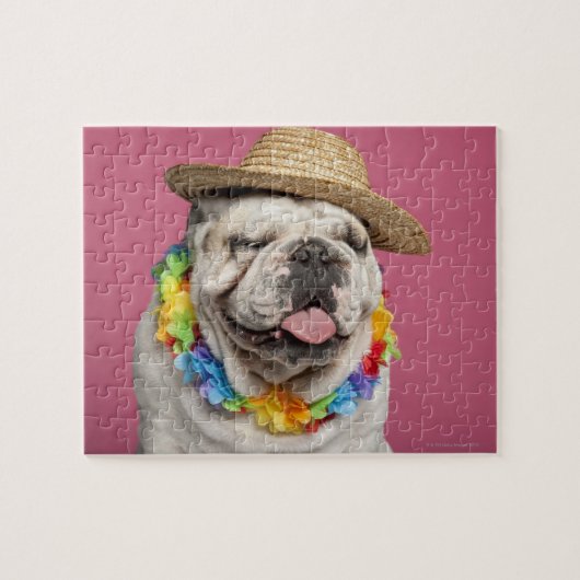 Engelse Bulldog (18 maanden oud) met stro Legpuzzel (Horizontaal)