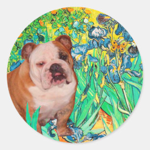 Engelse Bulldog 1 - Irissen Ronde Sticker