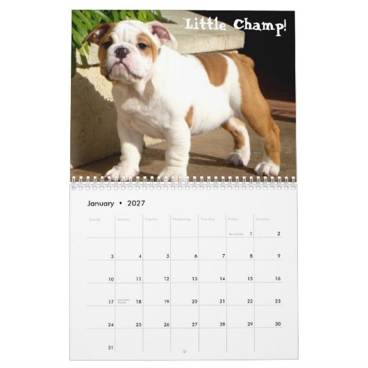 Engelse Bulldog 2014 Custom Printed Calendar Kalender (Jan 2027)