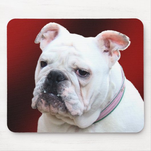 Engelse bulldog 2 mousepad muismat (Voorkant)