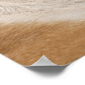 Engelse Bulldog (6 jaar oud) Poster (Hoek)