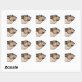 Engelse Bulldog (6 jaar oud) Vierkante Sticker (Vel)