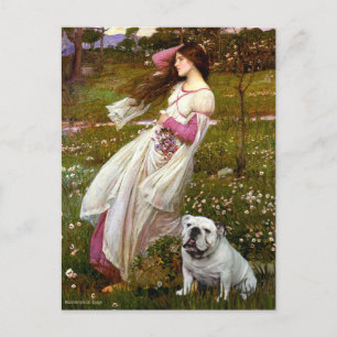 Engelse Bulldog 9 - Windflowers Briefkaart