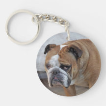 Engelse Bulldog Acrylic Key Ring / Dog Keyring