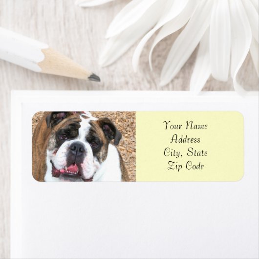 Engelse bulldog adresetiketten etiket (Insitu)