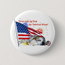 Engelse Bulldog - American Dream