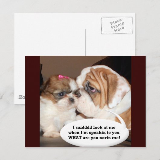 Engelse Bulldog Attentie! Briefkaart (Voorkant / Achterkant)