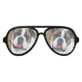 Engelse Bulldog Aviator Zonnebril (Voorkant)
