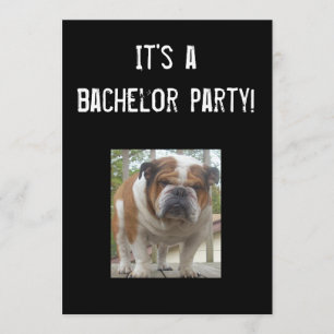 Engelse Bulldog Bachelor Party Uitnodigingen