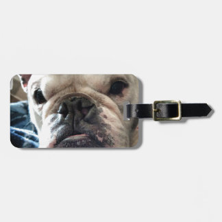Engelse Bulldog Bagagelabel