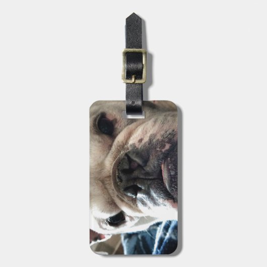 Engelse Bulldog Bagagelabel (Voorkant verticaal)