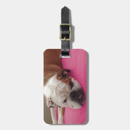 Engelse Bulldog Bagagelabel (Voorkant verticaal)