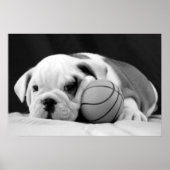 Engelse bulldog Basketball Puppy Poster (Voorkant)